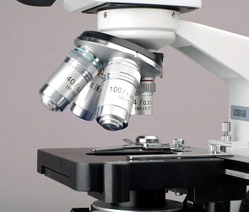 AmScope B120C Microscope review