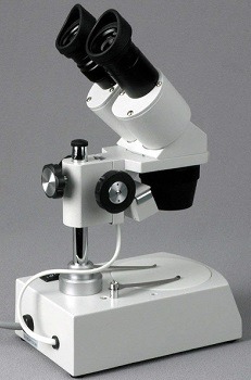 AmScope SE306-PZ Dissecting Microscope review