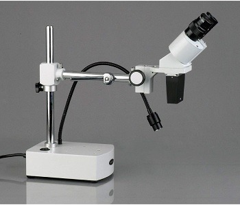 AmScope SE400 Professional Microscope 2