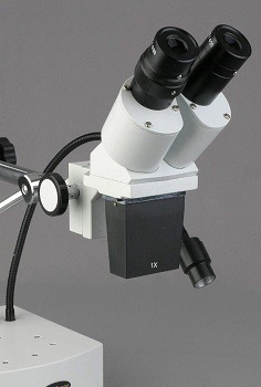 AmScope SE400-Z Binocular Microscope review