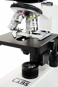 Celestron CB2000C Binocular Microscope review