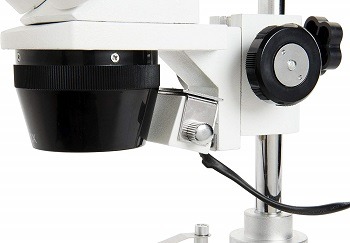 Celestron S10-60 Stereo Microscope review