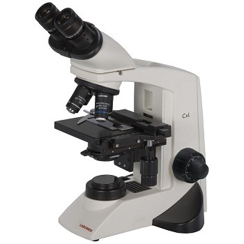 Labomed CXL Microscope