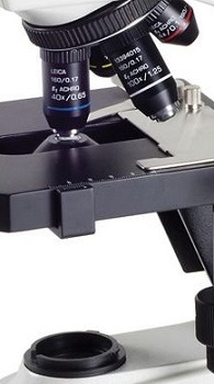 Leica DM300 Binocular Microscope review