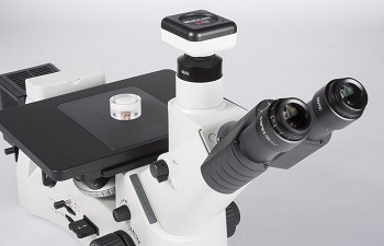Motic AE2000 Inverted Microscope review