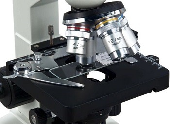 Omax M82ES Microscope review