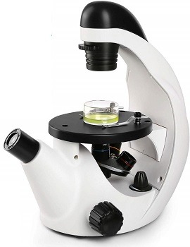 Telmu Inverted Microscope