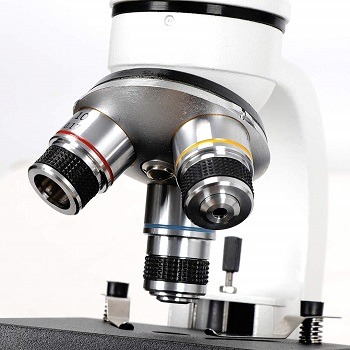 Zeni Cordless Student Microscope review