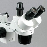 Best 5 Basic & Simple Microscopes You Can Buy In 2020 Reviews