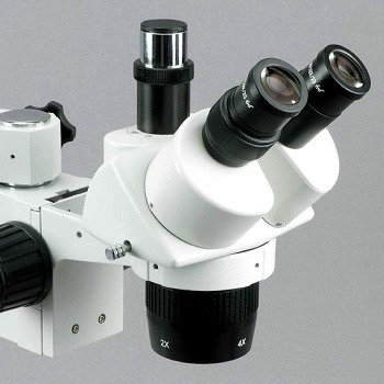 basic-microscope