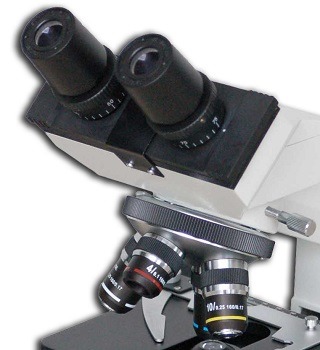 Labomed LB-240 Binocular Compound Microscope review