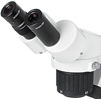 Motic SFC-11 Stereo Microscope 20x-40x Zoom review