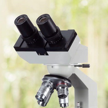 binocular-microscope